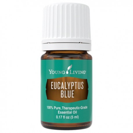 Eucalyptus Blue-5ml