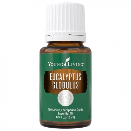 Eucalyptus Globulus-15ml