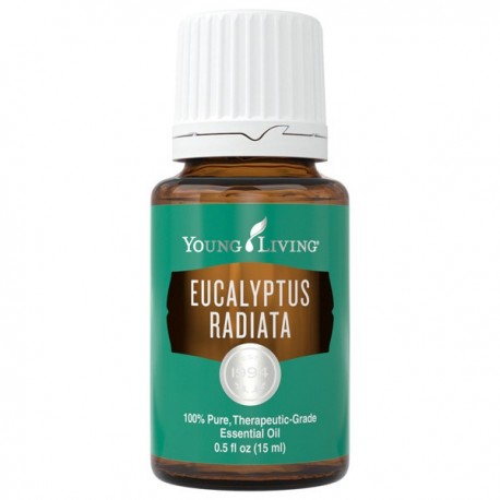 Eucalyptus Radiata-15ml