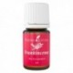 Frankincense-5ml