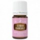 German Chamomile-5ml