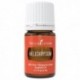 Helichrysum-5ml
