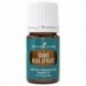 Idaho Blue Spruce-5ml