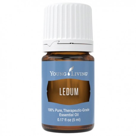 Ledum-5ml
