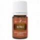 Nutmeg-5ml