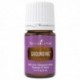 Grounding-5ml
